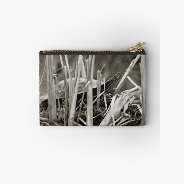 Item preview, Painted Turtle Sunning Itself in Reeds designed and sold by rhamm.