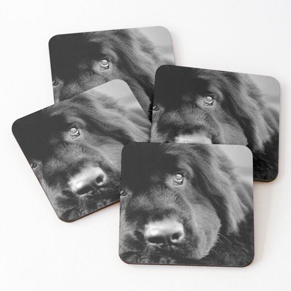 Item preview, Macie designed and sold by pipsqueaksphoto.