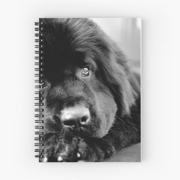 Item preview, Macie designed and sold by pipsqueaksphoto.