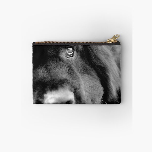 Item preview, Macie designed and sold by pipsqueaksphoto.