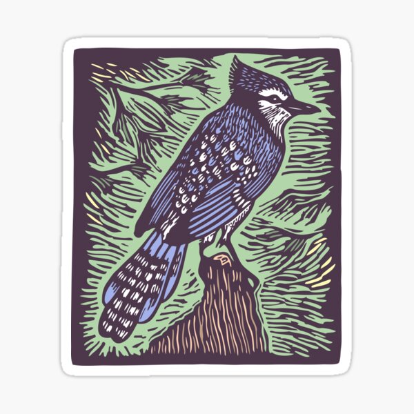Steller's Jay Sticker
