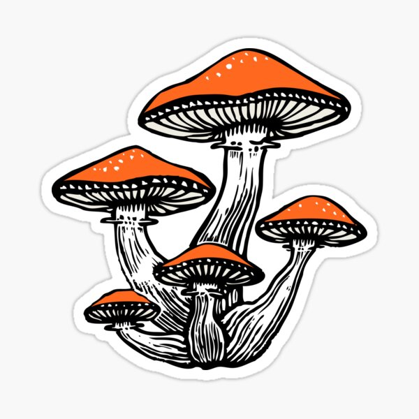Forest Fungi Sticker