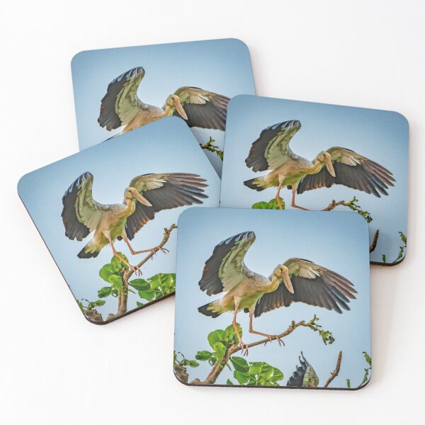 Item preview, The Asian openbill stork designed and sold by David ST Loh Images.