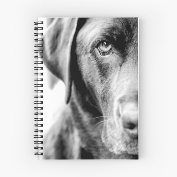 Item preview, Teska designed and sold by pipsqueaksphoto.