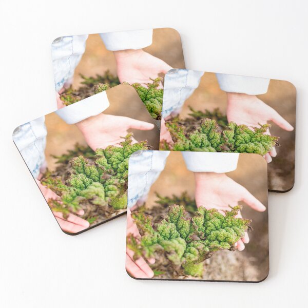 Item preview, Childs hand while holding a dying plant designed and sold by Artsy Boulevard.