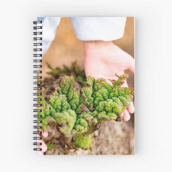 Item preview, Childs hand while holding a dying plant designed and sold by Artsy Boulevard.