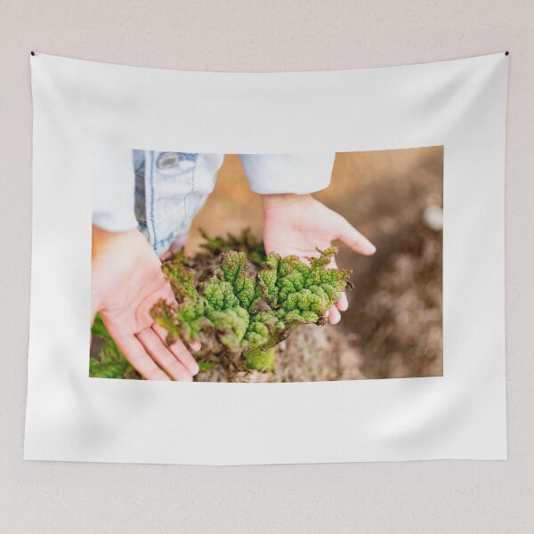 Item preview, Childs hand while holding a dying plant designed and sold by Artsy Boulevard.