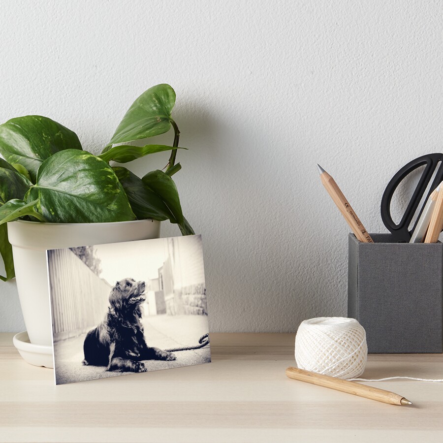 Artikel-Vorschau von Galeriedruck, designt und verkauft von pipsqueaksphoto.