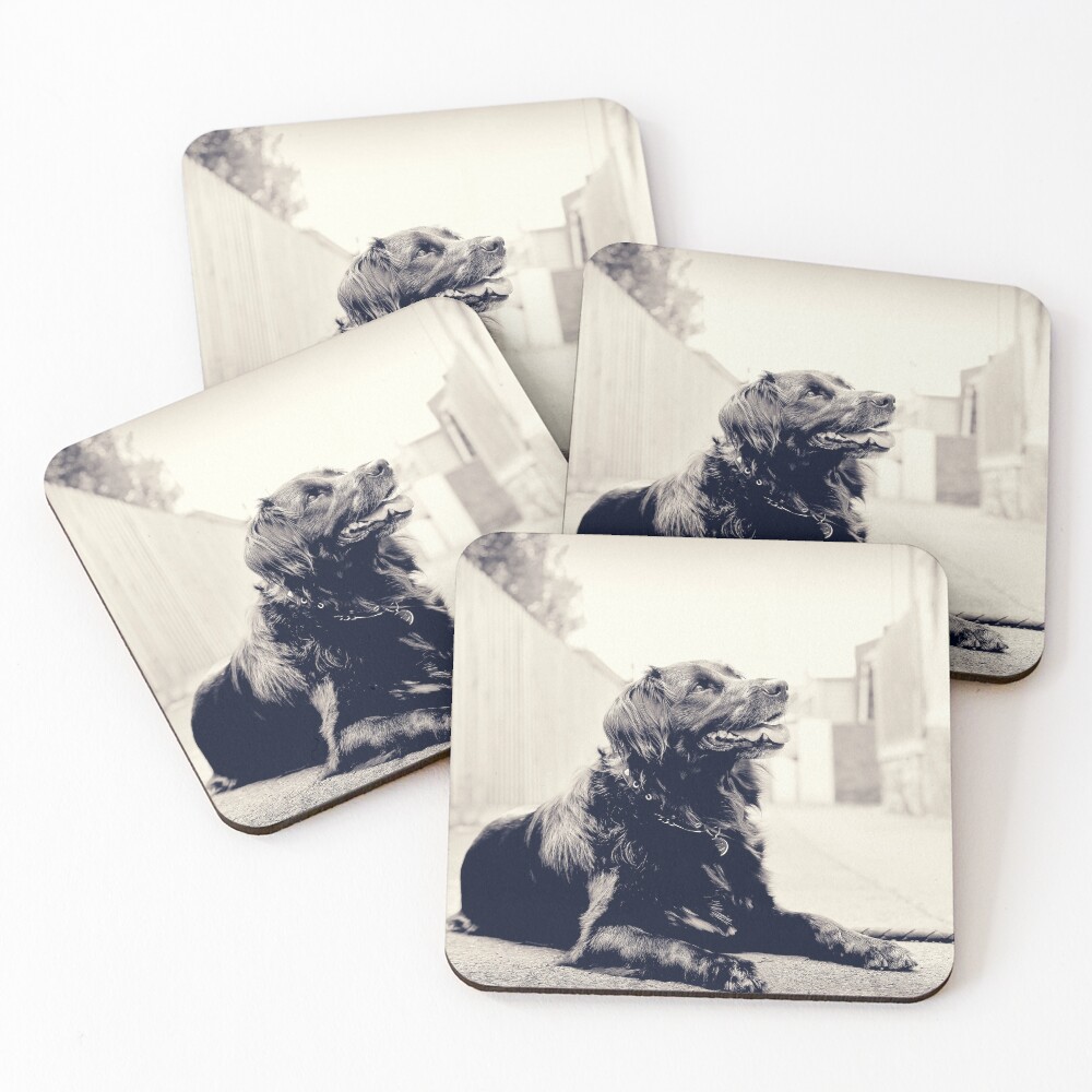 Item preview, Coasters (Set of 4) designed and sold by pipsqueaksphoto.