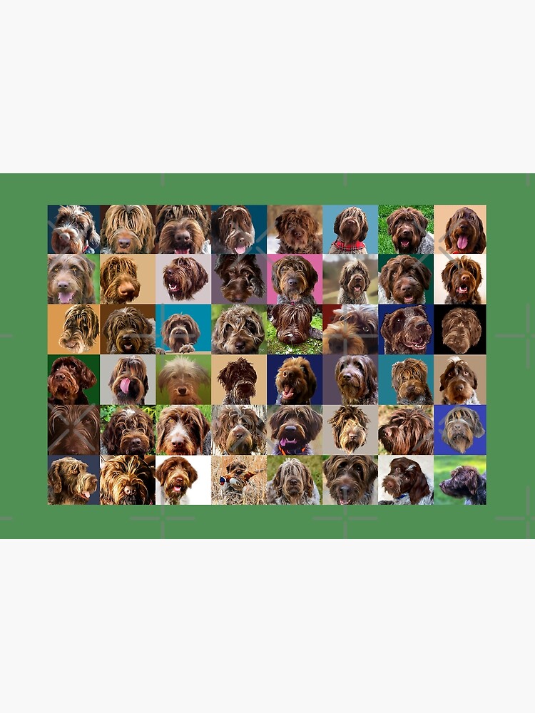 GRIFF PUZZLE by boesarts