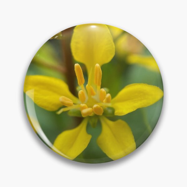 Item preview, Shower of Gold Flower Buds designed and sold by Sinemathk.
