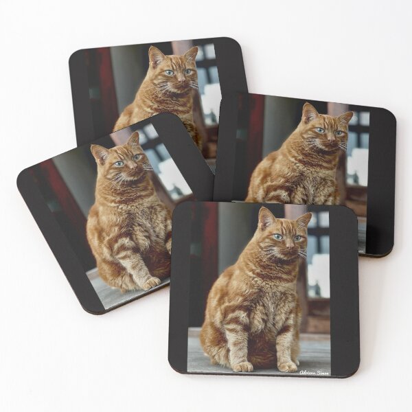 Item preview, Macho alfa designed and sold by Adriana Simon.