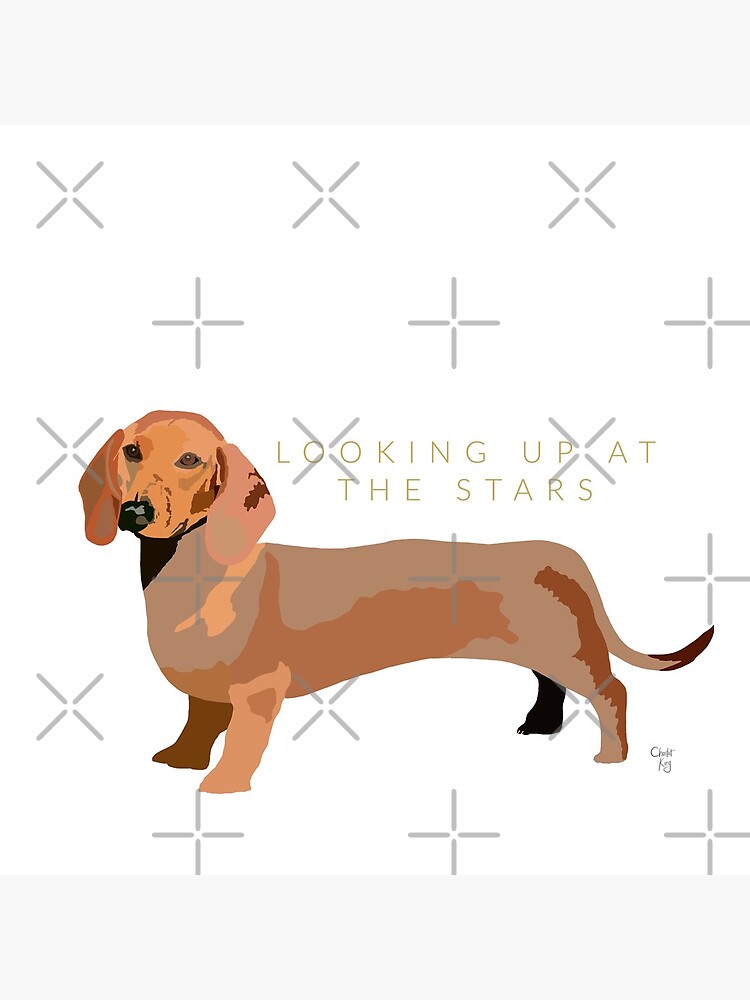 Dachshund Dog by LovelyDayArt
