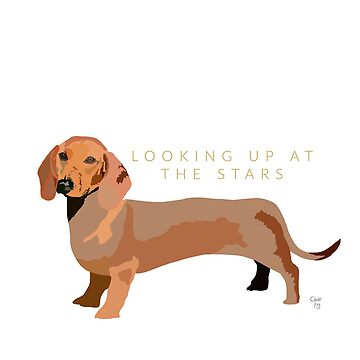 Artwork thumbnail, Dachshund Dog by LovelyDayArt