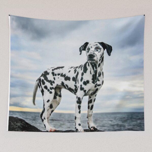 Item preview, Indy designed and sold by pipsqueaksphoto.
