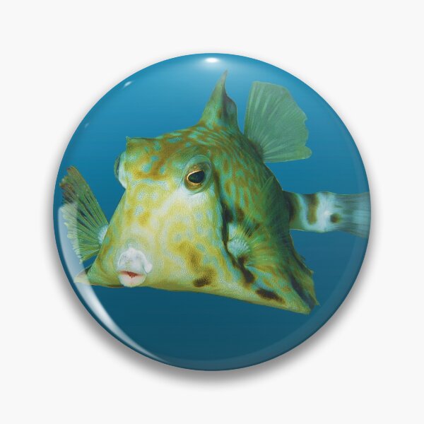 Fischmotiv | Kofferfisch schwebt vor blauem Hintergrund | Button