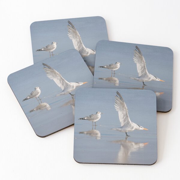 Item preview, Two seagulls with their reflections designed and sold by Zina Stromberg.
