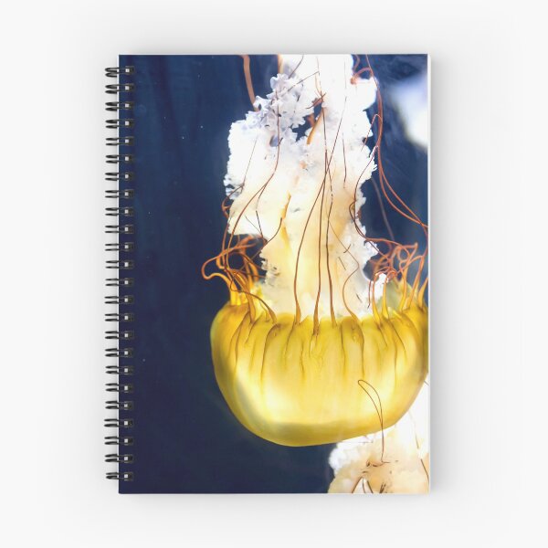 Item preview, Jellyfish sea nettle is an animal that is found in ocean also called as Medusa Jellyfish. Glowing aquatic animal yellow color on black background designed and sold by Artsy Boulevard.