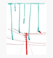 Wire Wire Telephone Photographic Print