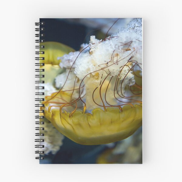 Item preview, Jellyfish sea nettle is an animal that is found in ocean also called as Medusa Jellyfish. Glowing aquatic animal yellow color on black background designed and sold by Artsy Boulevard.