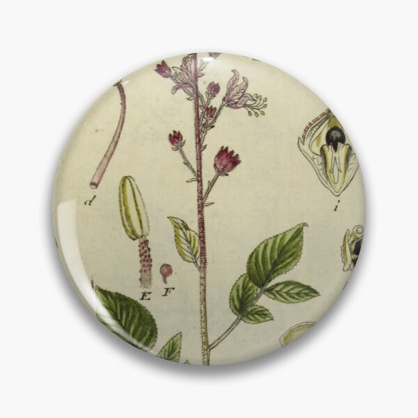 Item preview, Vintage Botanical Illustration 090 designed and sold by Txxmstore.