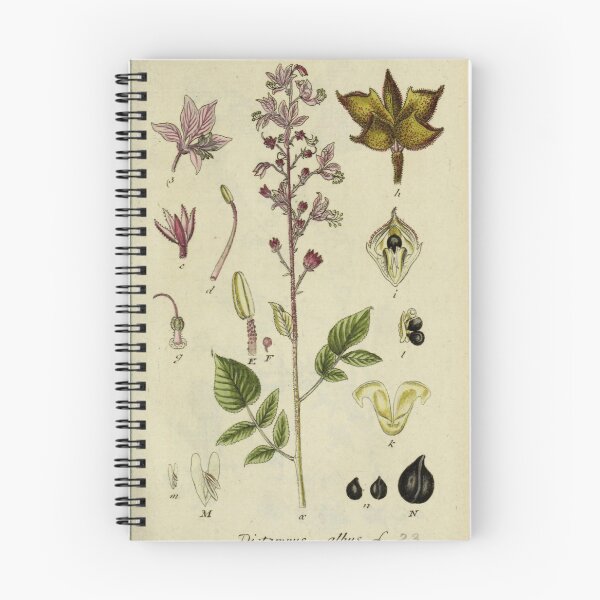 Item preview, Vintage Botanical Illustration 090 designed and sold by Txxmstore.