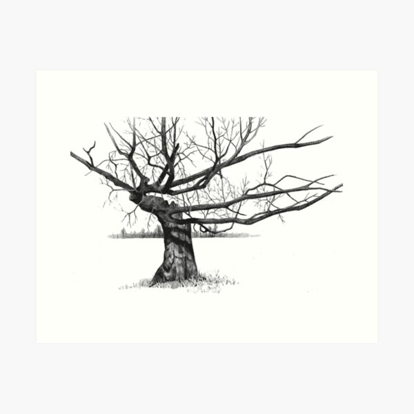 Item preview, Gnarly Tree with Twisted Branches, Pencil Drawing designed and sold by JoyfulWhimsy.