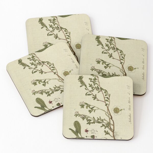 Item preview, vintage botanical designed and sold by Txxmstore.