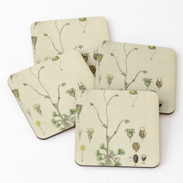 Item preview, vintage botanical designed and sold by Txxmstore.