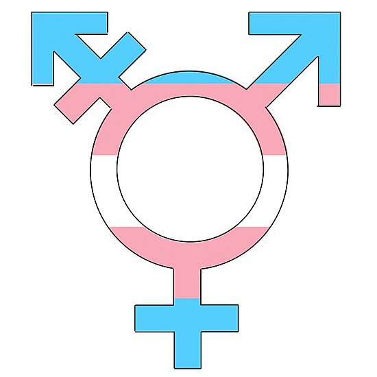 Image result for Transgender Symbol