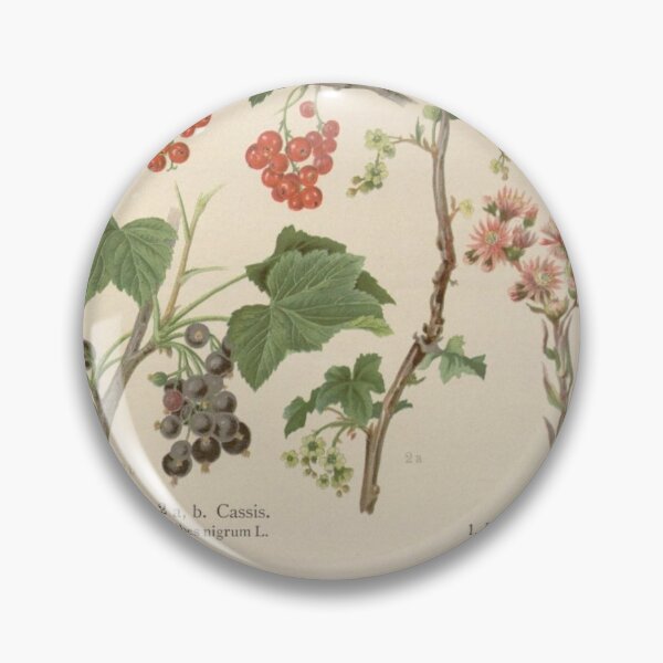 Item preview, Vintage Botanical Illustration 081 designed and sold by Txxmstore.