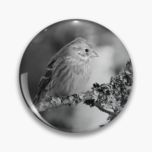 Item preview, Yellowhammer blues 1 bw designed and sold by Jouko Lehto Photography.