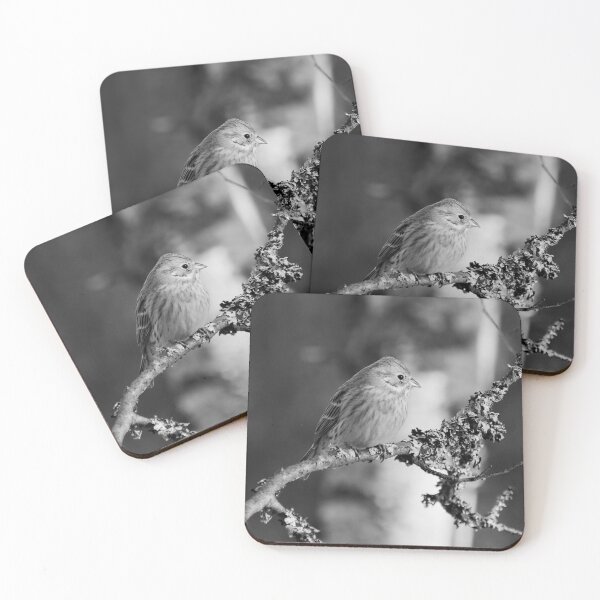 Item preview, Yellowhammer blues 1 bw designed and sold by Jouko Lehto Photography.