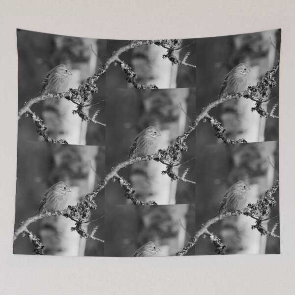 Item preview, Yellowhammer blues 1 bw designed and sold by Jouko Lehto Photography.