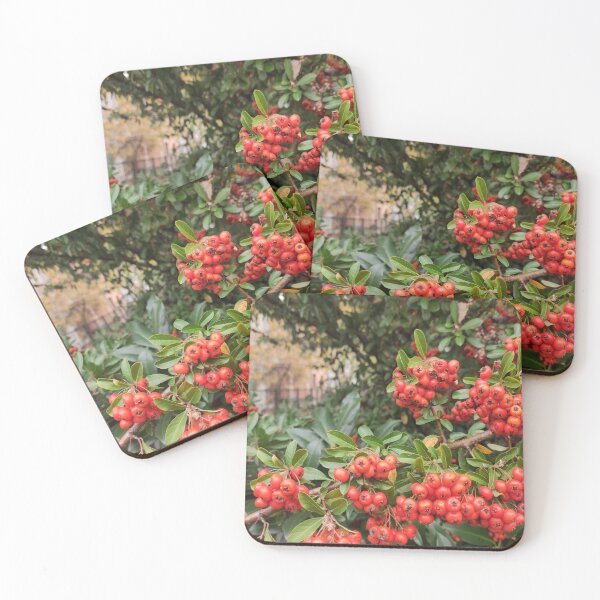 Item preview,  red fire thorn bush designed and sold by pineappledizajn.