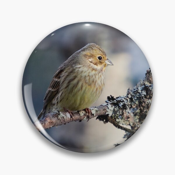 Item preview, Yellowhammer blues 1 color designed and sold by Jouko Lehto Photography.