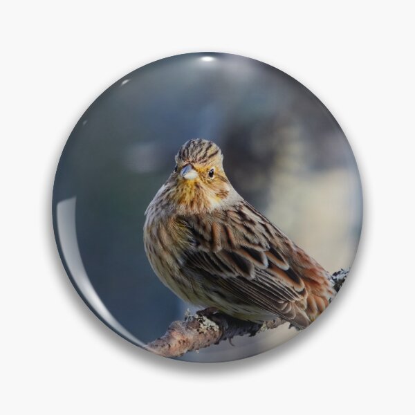 Item preview, Yellowhammer blues 2 designed and sold by Jouko Lehto Photography.