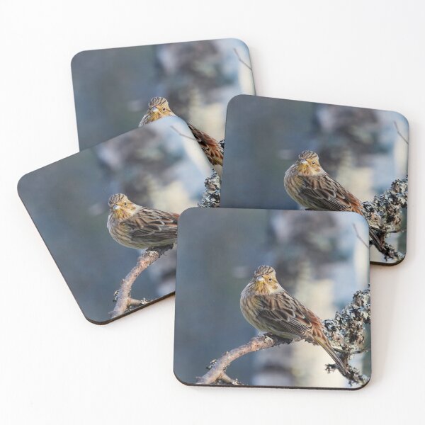 Item preview, Yellowhammer blues 2 designed and sold by Jouko Lehto Photography.