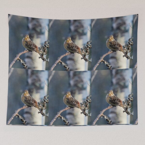 Item preview, Yellowhammer blues 2 designed and sold by Jouko Lehto Photography.