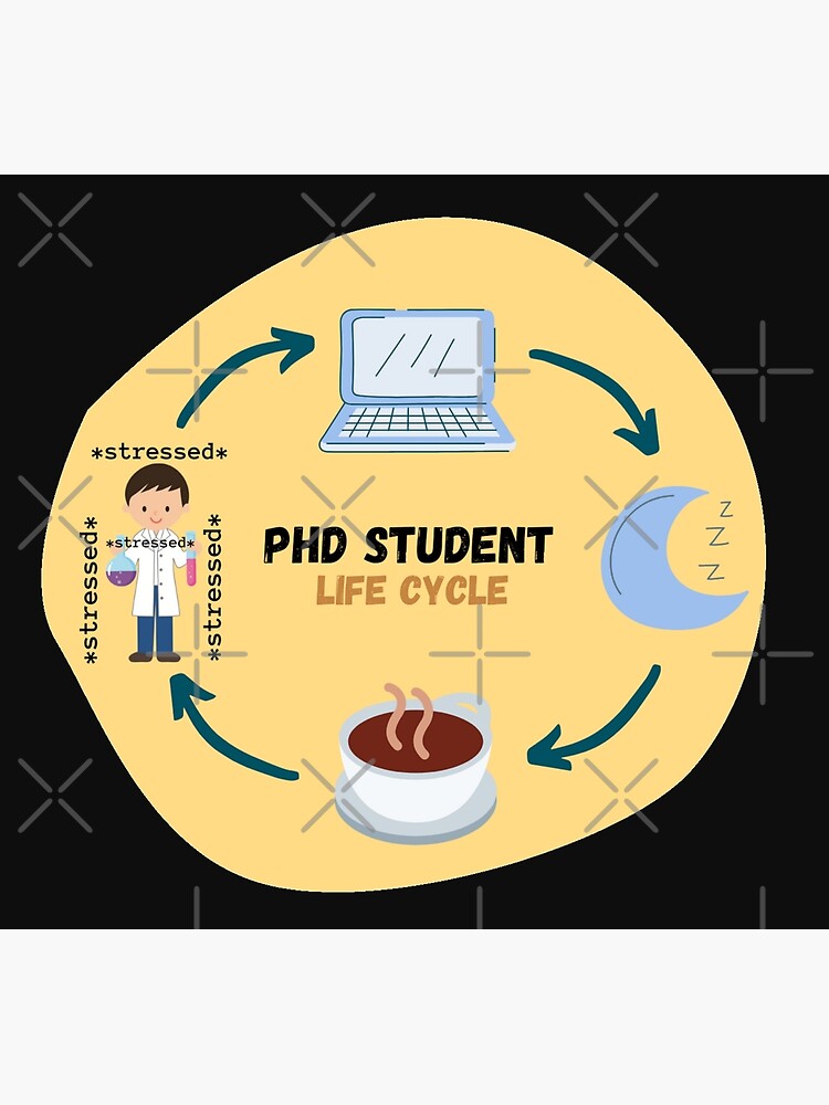 phd life cycle