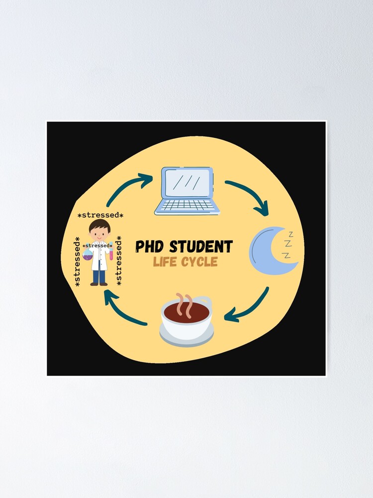 phd life cycle