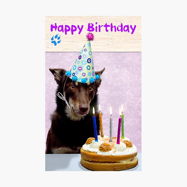 Happy Bithday from Ally Photographic Print