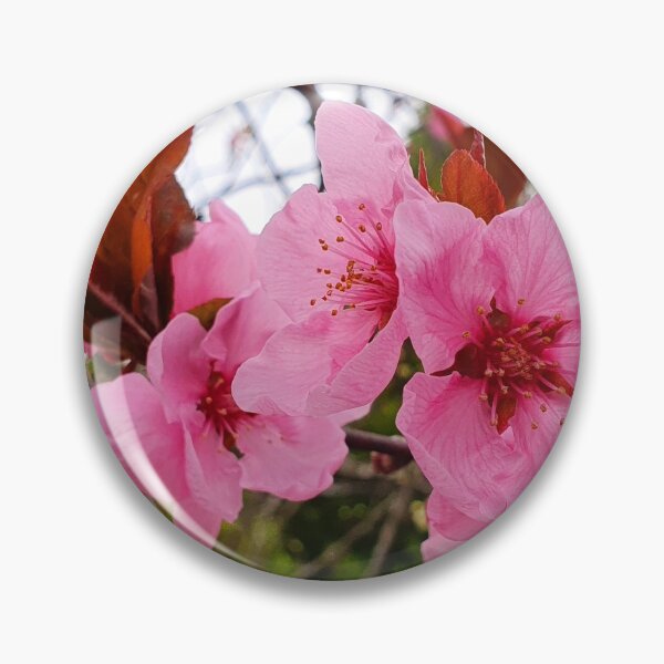 Item preview, Pink Flower Photography  designed and sold by s10-Photography.