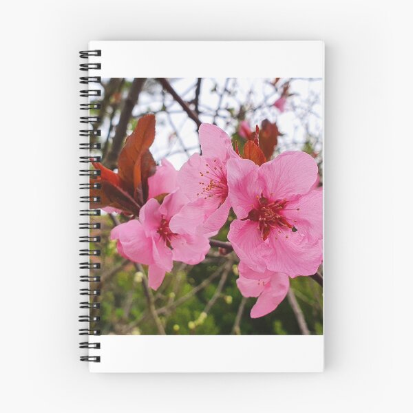 Item preview, Pink Flower Photography  designed and sold by s10-Photography.
