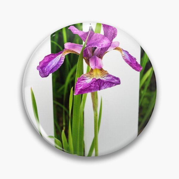 Item preview, Iris Versicolor designed and sold by Ruth Curtis.