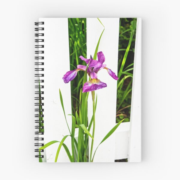 Item preview, Iris Versicolor designed and sold by Ruth Curtis.