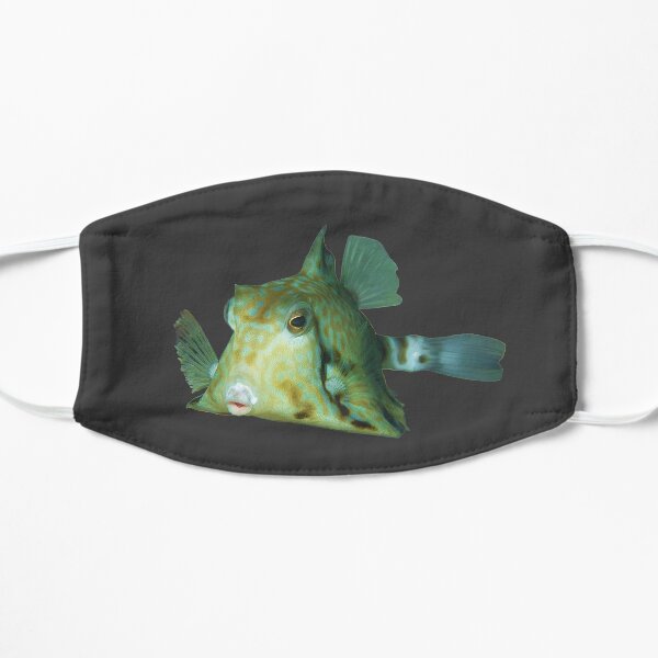 Kofferfisch | Niedlicher Fisch zum Knutschen | Flache Maske