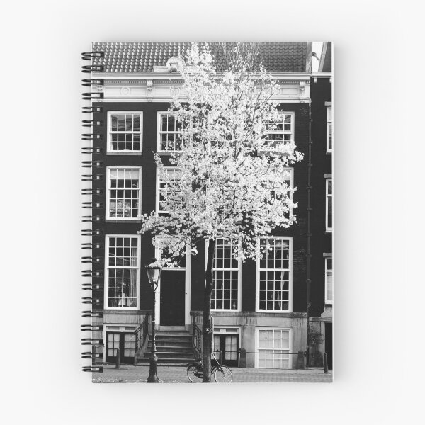 Item preview, Amsterdam city travel photography wall art, print art. designed and sold by Noel Ali ⭐⭐⭐⭐⭐.
