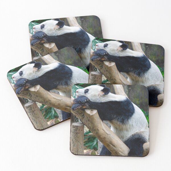 Item preview, Very bored and sleepy giant panda bear in a zoo designed and sold by Artsy Boulevard.