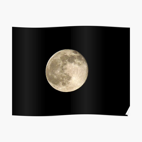 Strawberry Moon Rose Gifts & Merchandise for Sale | Redbubble